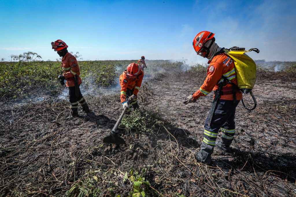 Bombeiros combatem incêndios florestais no Pantanal de Mato Grosso.