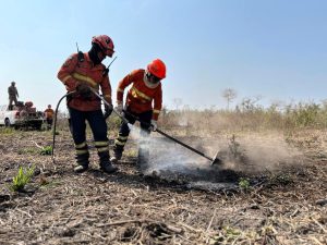 Bombeiros atuam no combate ao fogo durante o Período Proibitivo do Fogo no Pantanal