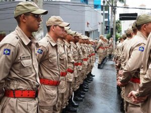 Brigadistas temporários combatem incêndios florestais em Mato Grosso