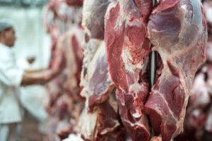 Rebanho de bovinos em Mato Grosso – exportações de carne bovina em Mato Grosso.