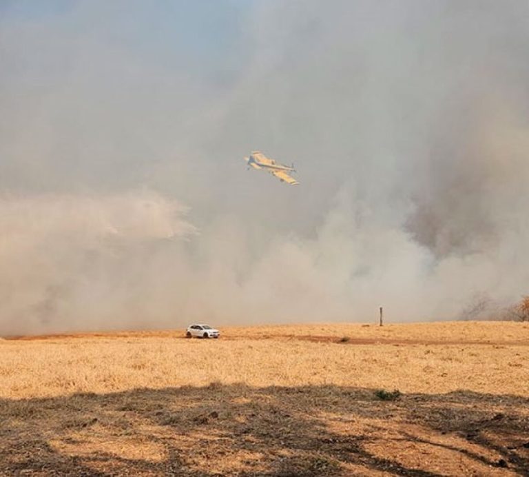 Bombeiros controlando um incêndio em área florestal em Tangará da Serra, Mato Grosso.