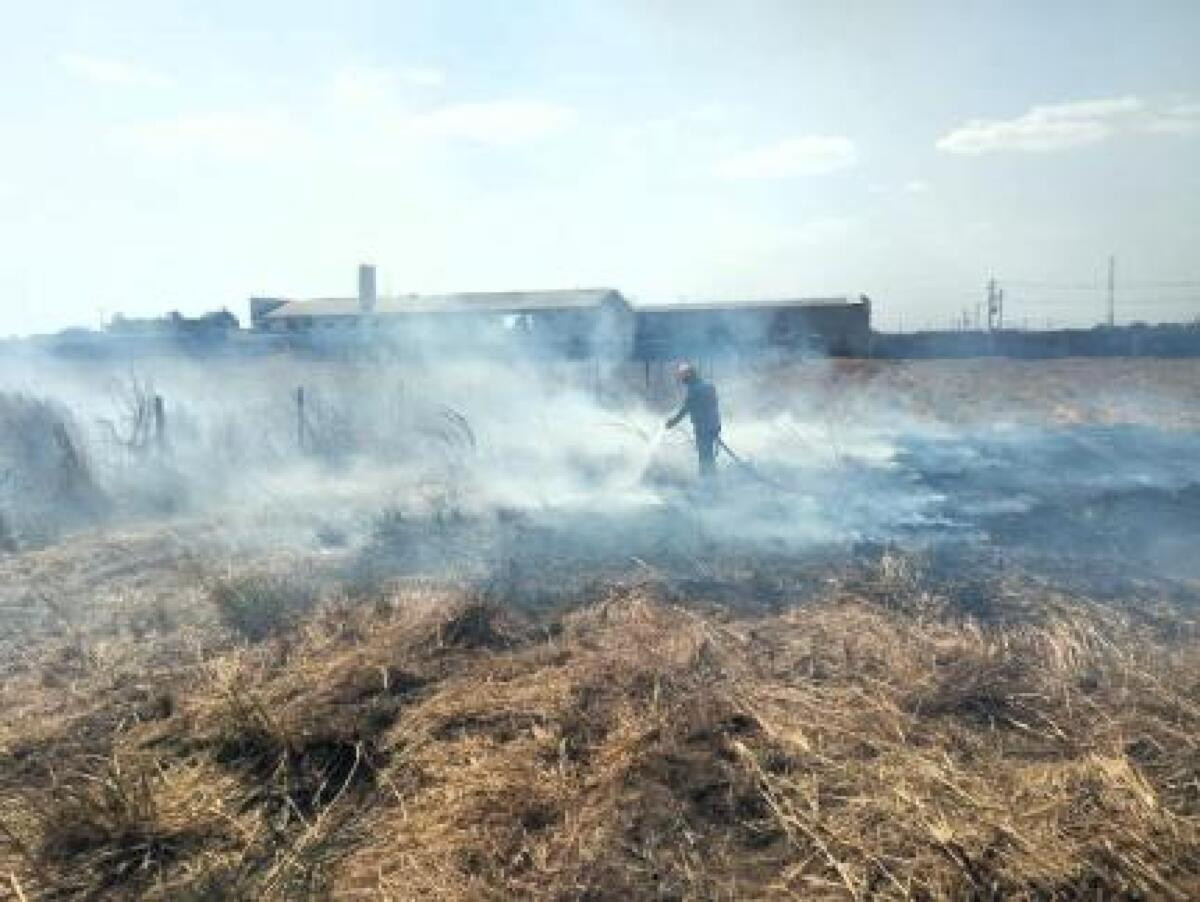 Imagem de incêndios florestais no Pantanal, com fumaça densa cobrindo a vegetação seca.