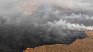 Incêndios no Cerrado e Amazônia atingem 76% da América do Sul