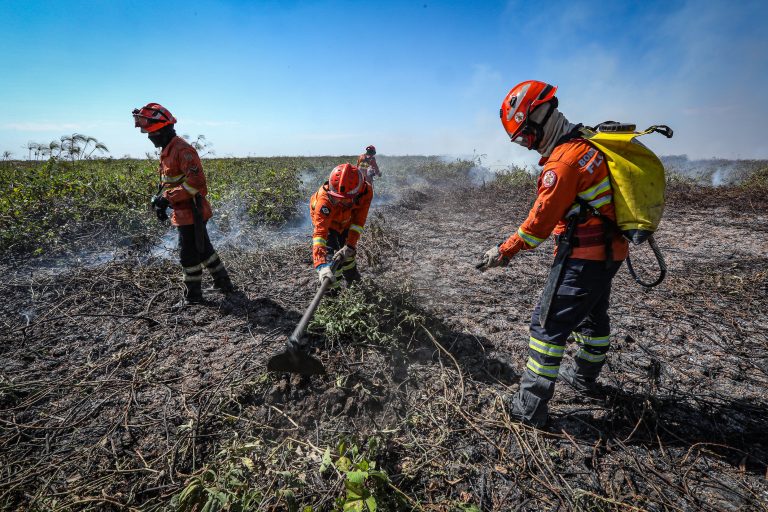 Bombeiros combatem incêndios florestais no Pantanal de Mato Grosso.