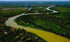 - Desmatamento no Pantanal com autorização da SEMA