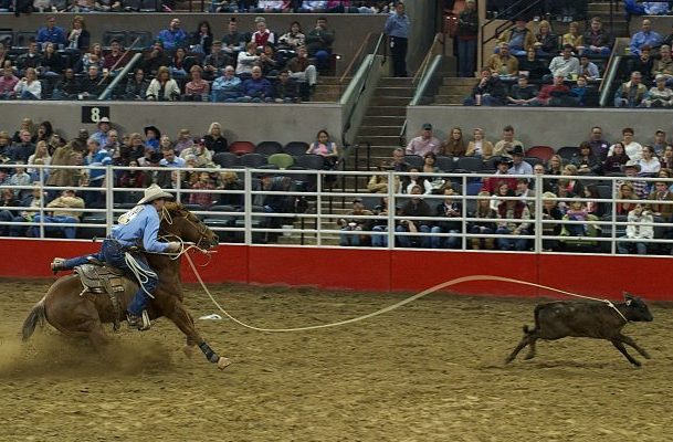 Evento de rodeio crioulo no Brasil regulamentado por lei.