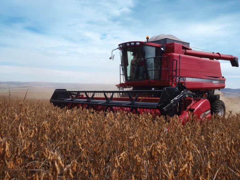 Semeadura de soja em Mato Grosso avança com desafios climáticos de La Niña.