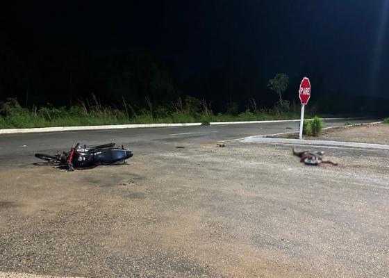 Cena do acidente fatal na rodovia MT-040, envolvendo um motociclista e um caminhão.