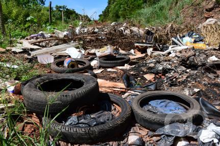 Aumento dos casos de dengue e chikungunya em Mato Grosso, com Tangará da Serra liderando os registros.
