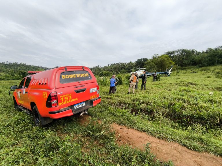 Cães de busca do Corpo de Bombeiros durante resgate em Jaciara.