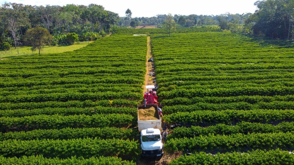 Crédito rural para pequenos produtores em Mato Grosso.