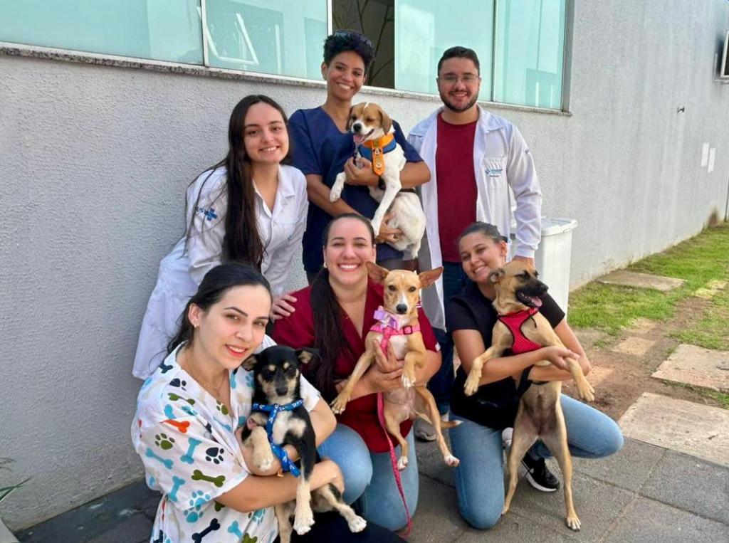 Criança brincando com cachorro no Hospital Regional de Sinop como parte do projeto Pet Terapia.