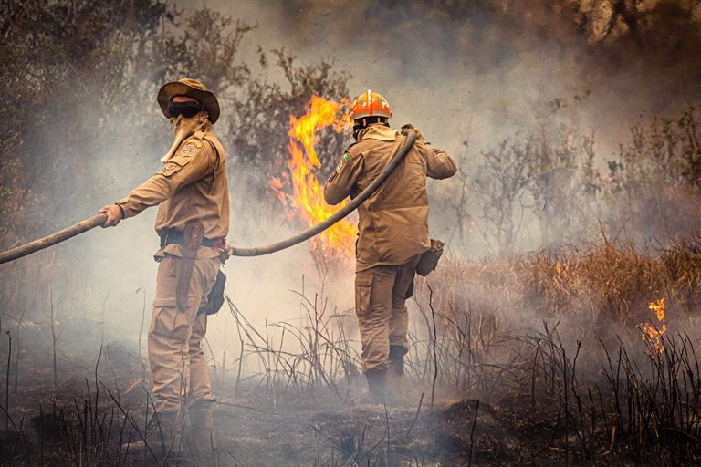 Brigadistas combatendo incêndios florestais em Mato Grosso após decreto de proibição de queimadas.