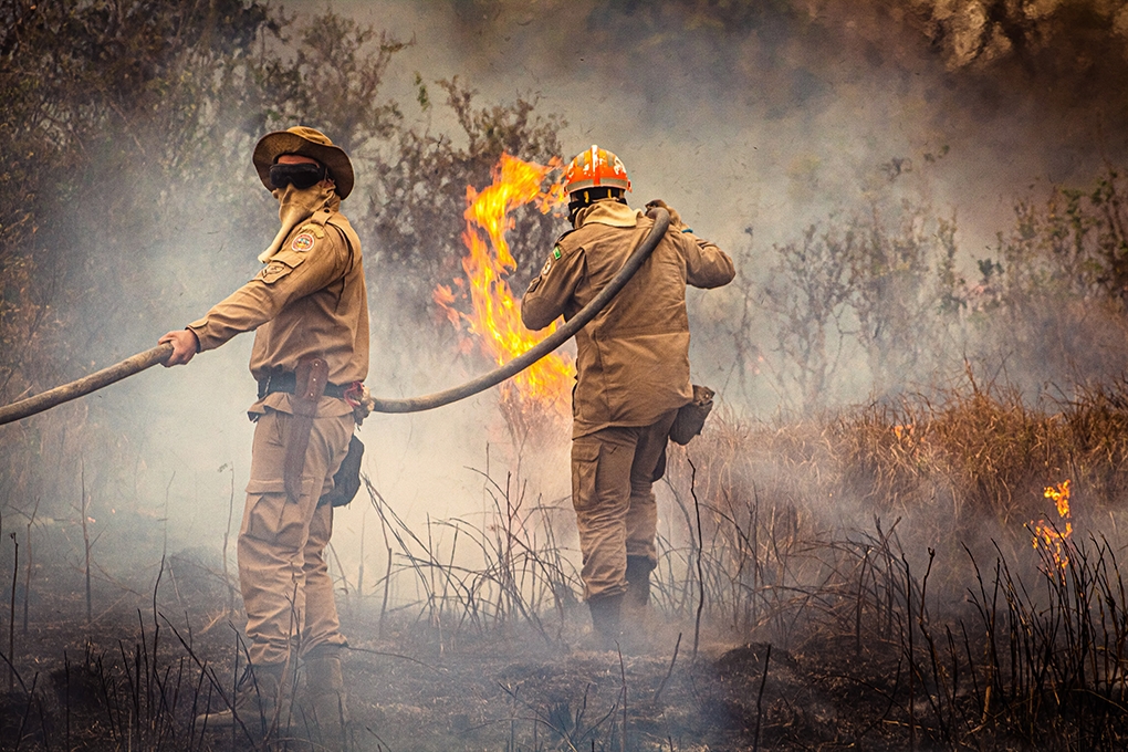 Brigadistas combatendo incêndios florestais em Mato Grosso após decreto de proibição de queimadas.