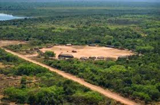 Fachada do STF, onde foi decidido sobre a Terra Indígena Pequizal do Naruvôtu.