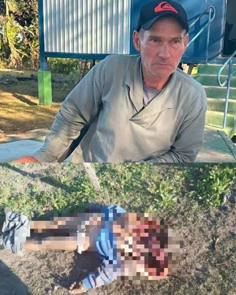 rilha na mata onde ocorreu o ataque de onça-pintada no Pantanal