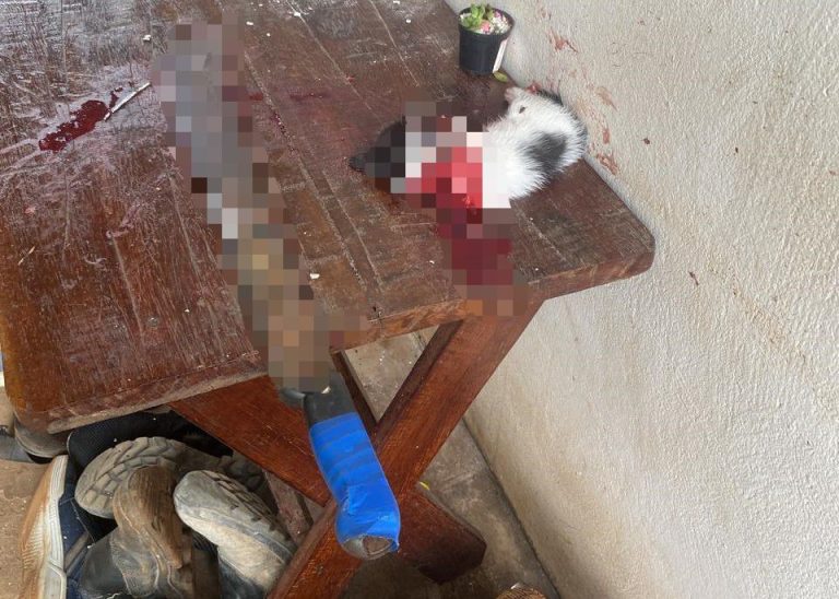 Casa destruída após invasão dos irmãos em Tangará da Serra.