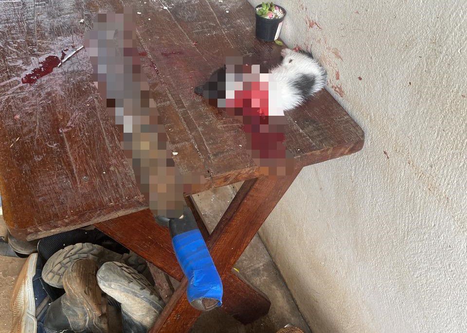 Casa destruída após invasão dos irmãos em Tangará da Serra.