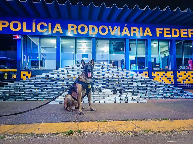 PRF apreende 400 kg de drogas e munições em caminhão na BR-364 em Rondonópolis