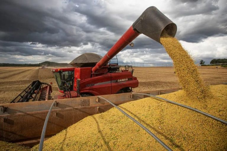 Crescimento do PIB em Mato Grosso liderado pelo agronegócio em 2025