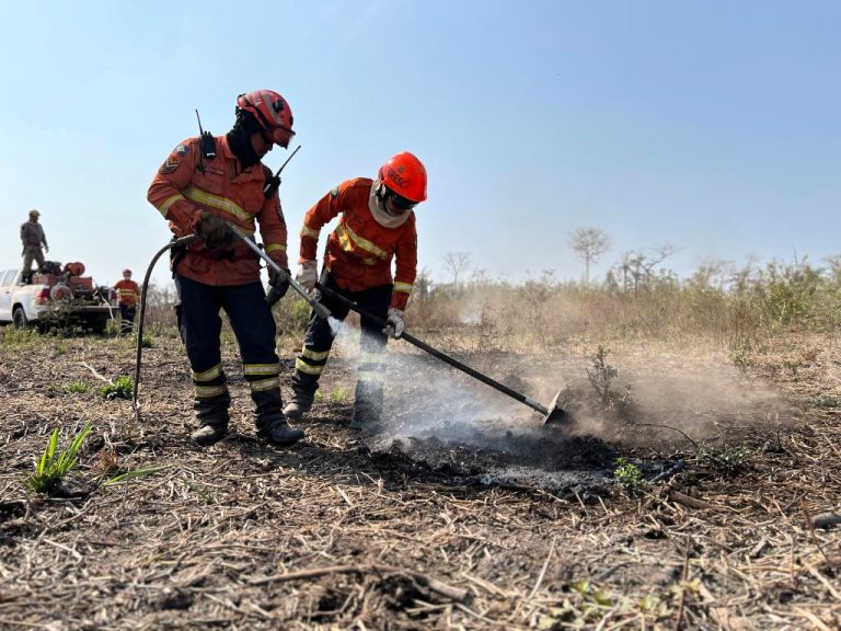 Bombeiros atuam no combate ao fogo durante o Período Proibitivo do Fogo no Pantanal