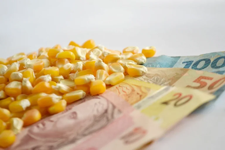 Produtor rural beneficiado por contrato do Pronamp em 2025