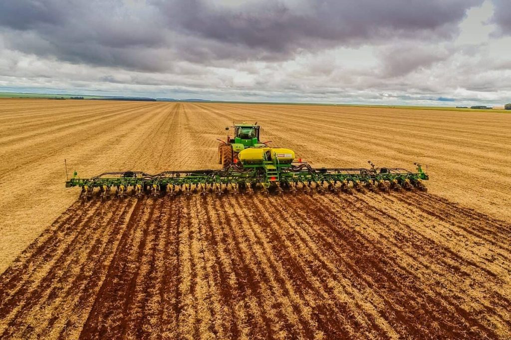 Fiscal do Indea vistoriando plantação de soja durante o vazio sanitário em Mato Grosso