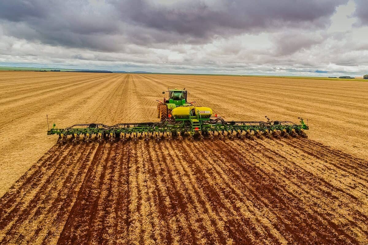 Fiscal do Indea vistoriando plantação de soja durante o vazio sanitário em Mato Grosso