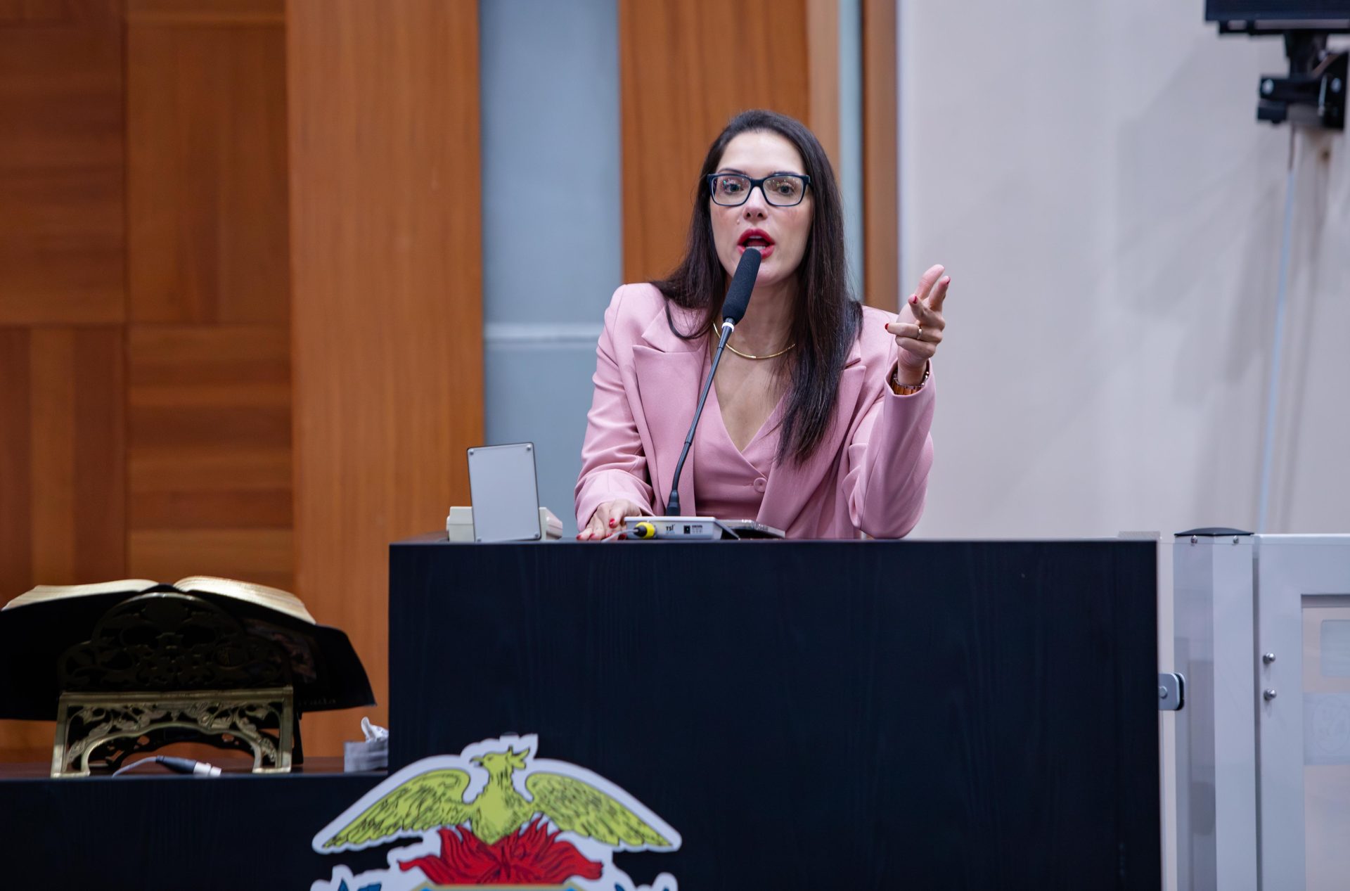- Janaina Riva apresenta projeto de lei da Política Estadual Feminicídio Zero