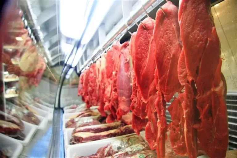 xportações de carne bovina para os EUA caem após tarifa de Trump