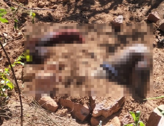 Corpo encontrado em cova rasa na zona rural de Rondonópolis