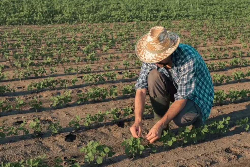 agricultor familiar beneficiado pelo AgroAmigo em Mato Grosso