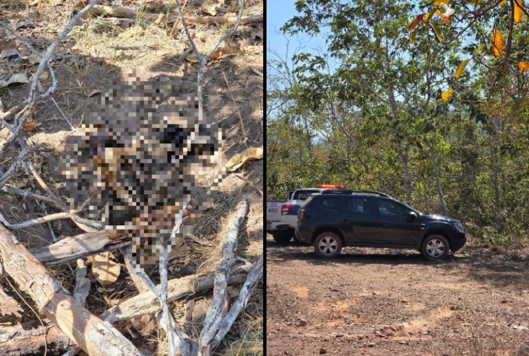 Peritos isolam área rural onde ossada humana foi encontrada com sinais de homicídio