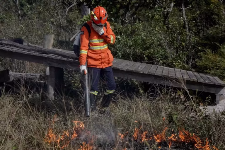 Bombeiros combatem focos de calor em Mato Grosso com recursos aéreos e terrestres