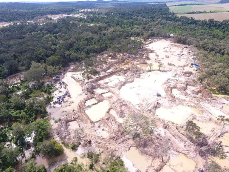 Operação do Ibama em Terra Indígena Sararé