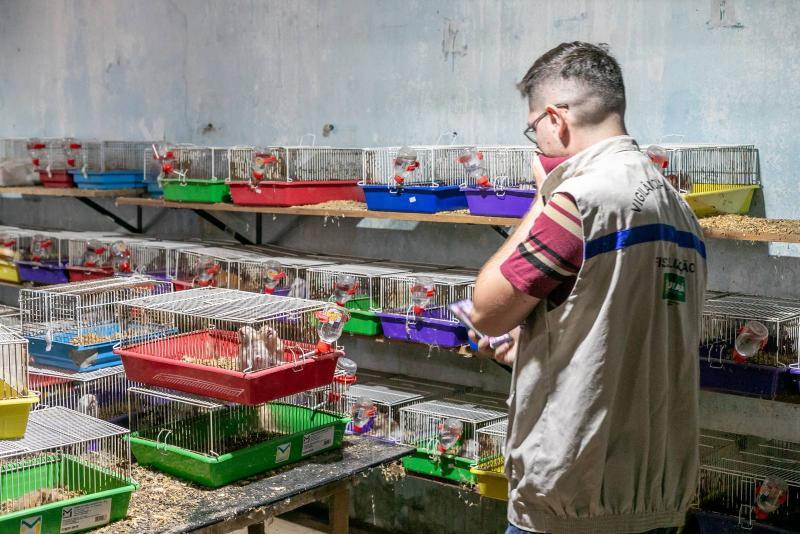 Cães resgatados de canil clandestino em situação de maus-tratos
