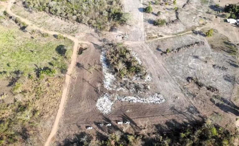 Queimada ilegal no Pantanal flagrada por satélite durante Operação Infravermelho