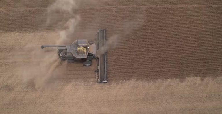 Colheitadeira opera em ritmo acelerado em área agrícola, separando a lavoura já colhida da porção ainda intacta
