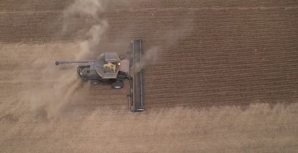 Colheitadeira opera em ritmo acelerado em área agrícola, separando a lavoura já colhida da porção ainda intacta