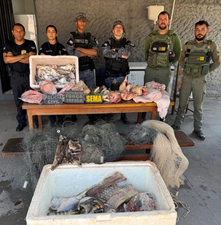 Material apreendido em pousada por crime ambiental e pescado ilegal