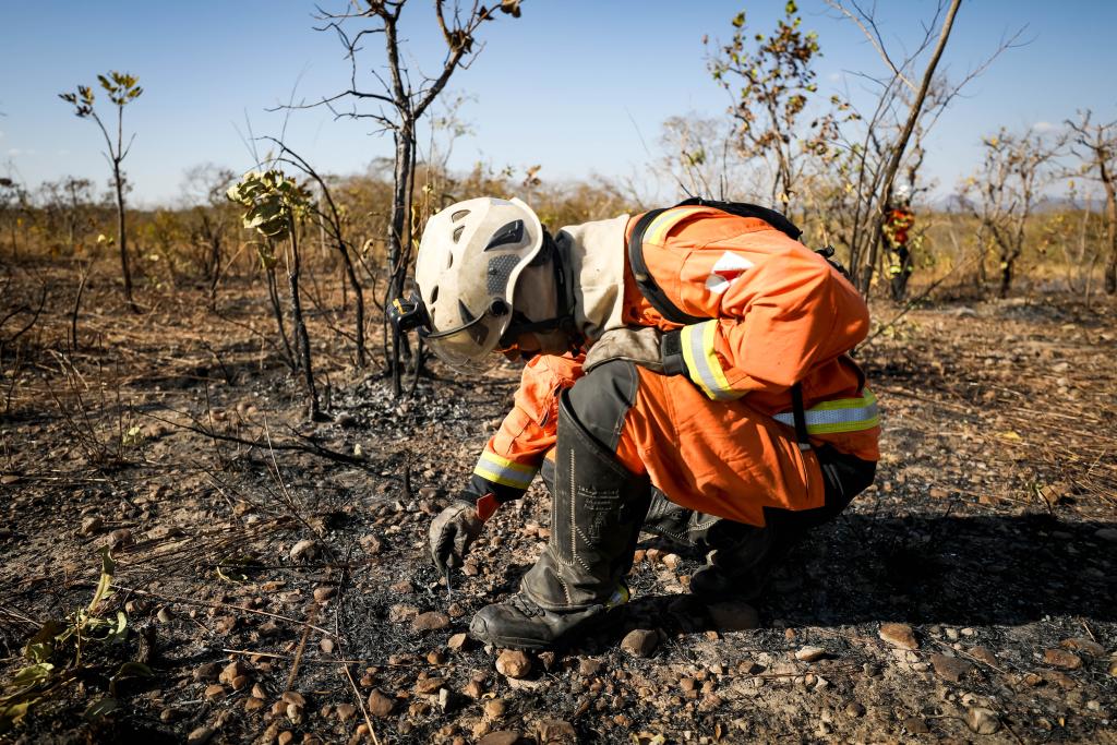 Fiscalização ambiental em Mato Grosso com aplicação de multas por crimes ambientais
