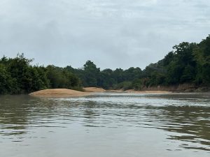 Operação Rastro de Érebo combate garimpo ilegal em áreas de preservação em Mato Grosso