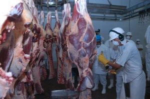 Exportações de carne bovina do Brasil atingem recorde em setembro