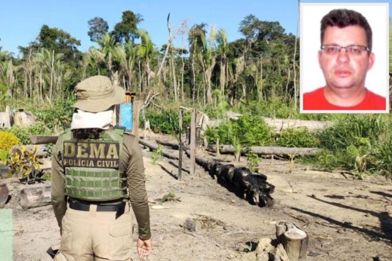 Área desmatada no Pantanal em crime ambiental julgado pela Justiça de Mato Grosso
