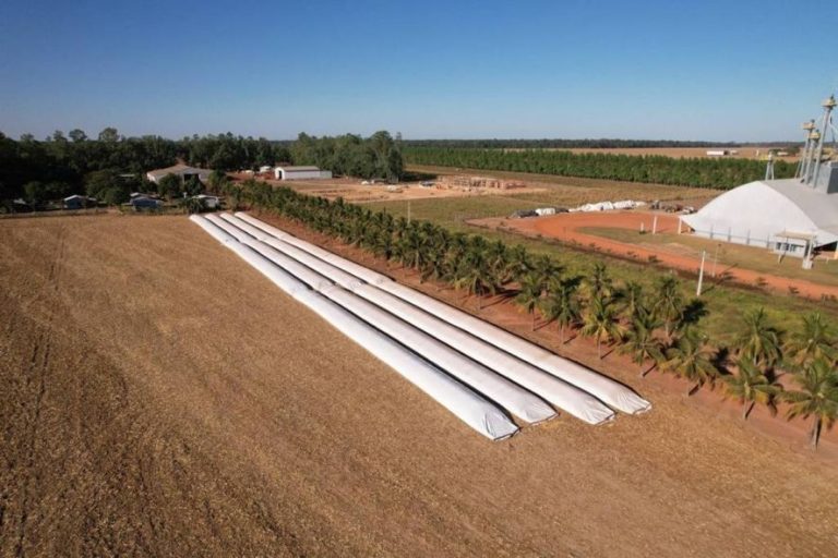 A imagem mostra silos de armazenagem de grãos no Mato Grosso, ilustrando o déficit de infraestrutura no agronegócio brasileiro.